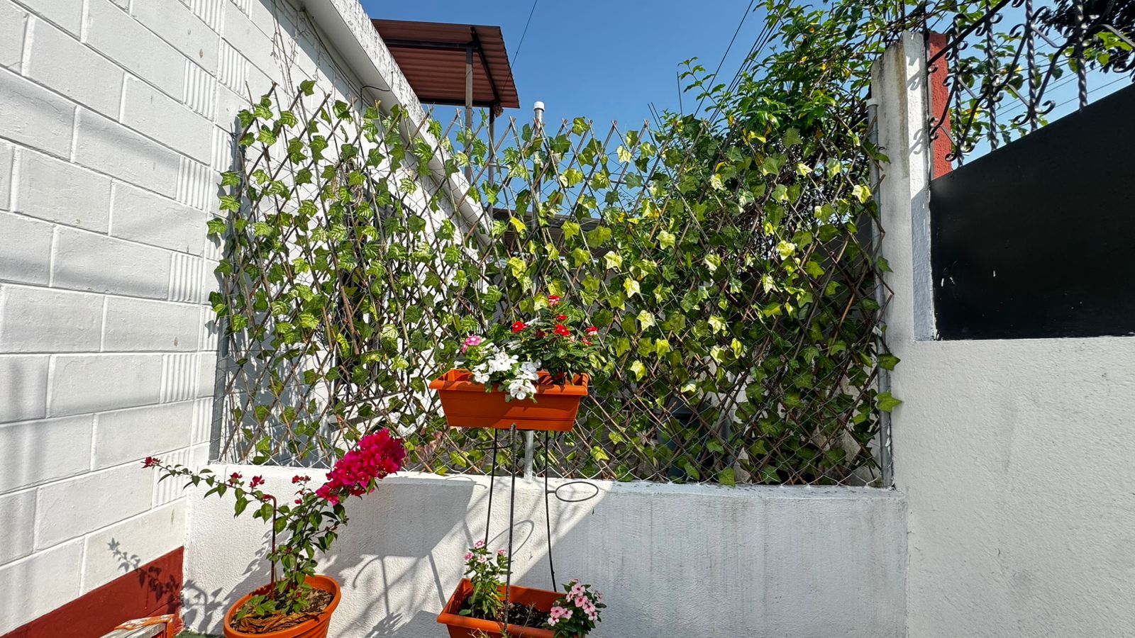 Casa Jardín foto 28