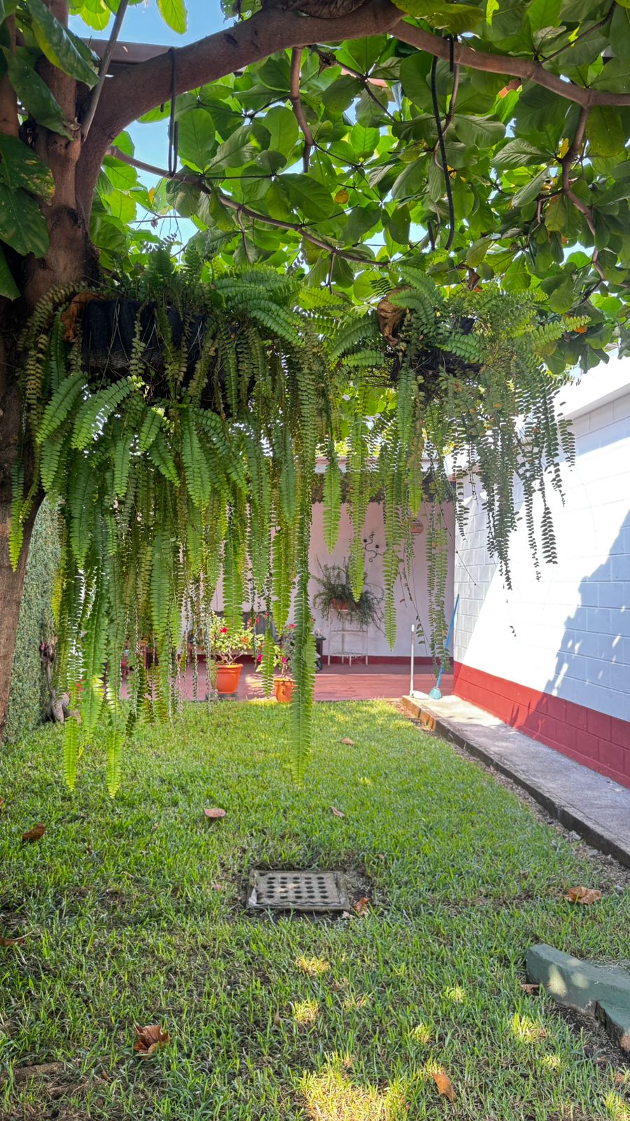 Casa Jardín foto 25