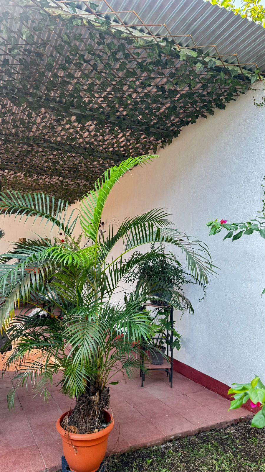 Casa Jardín foto 20