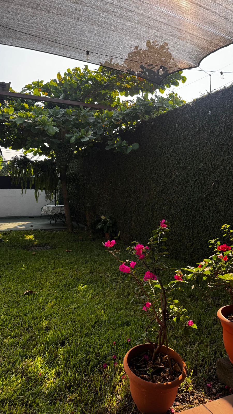 Casa Jardín foto 10